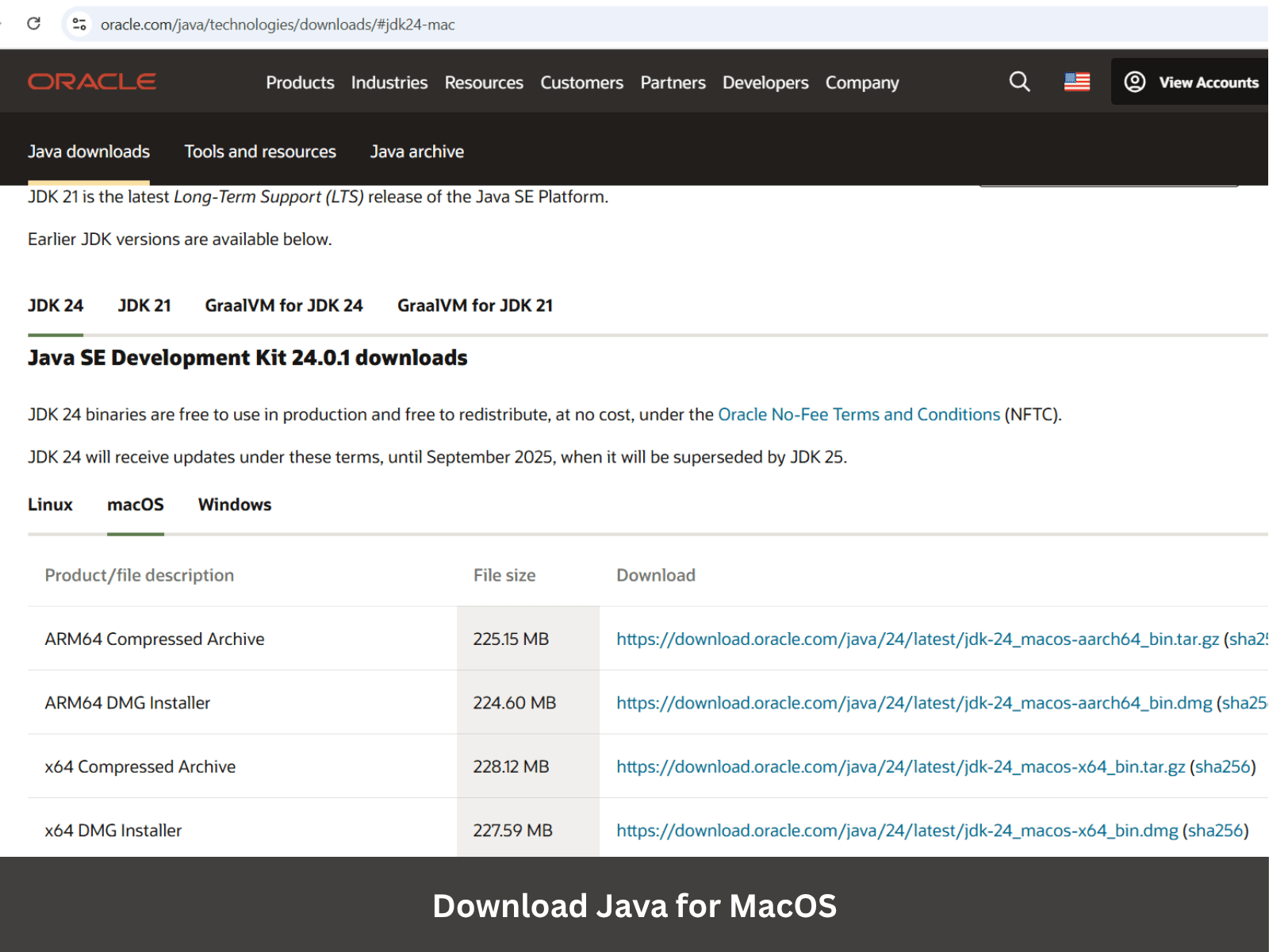 Download Java for MacOs image
