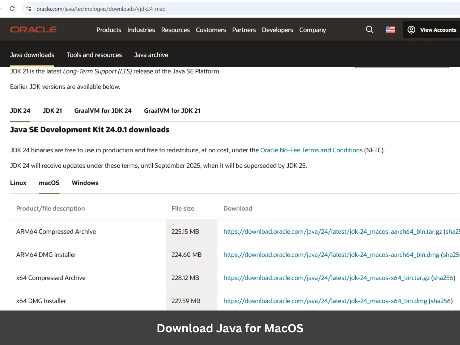 Download Java for MacOs image