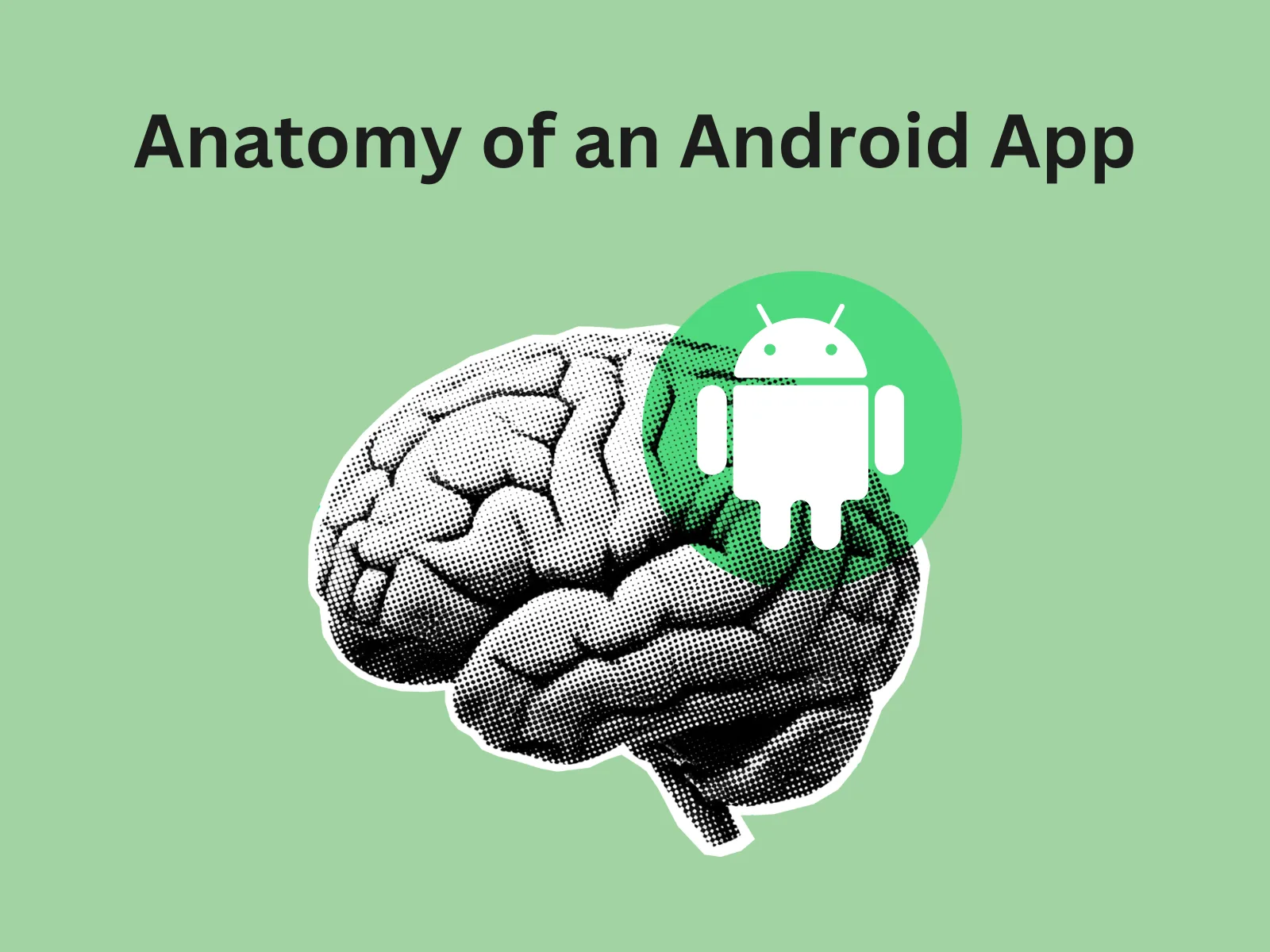 Anatomy of an Android App