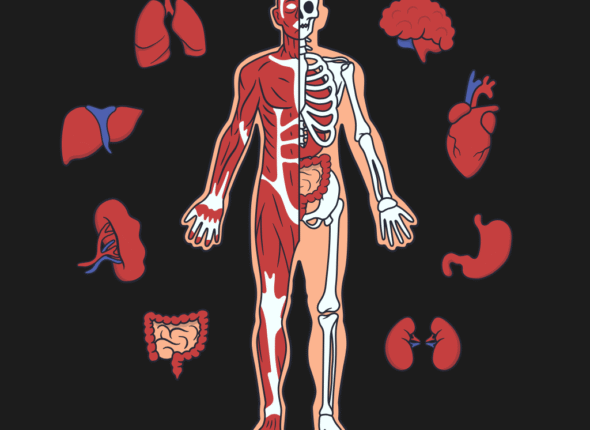 Anatomy of an android app