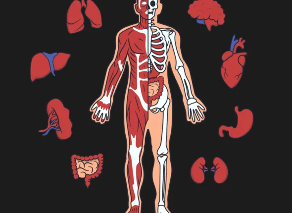 Anatomy of an android app
